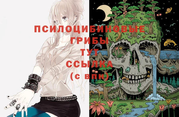 прущая мука Алзамай