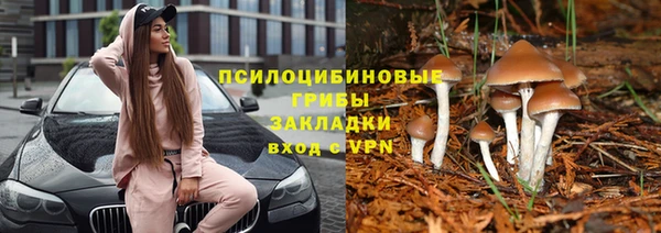мет Абаза